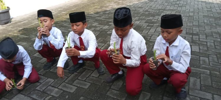 Kegiatan P5RA MIS Anugerah YHA  Dengan Tema Hidup Berkelanjutan