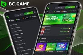 Comprehensive Review of the BC Games Brand A Closer Look at Quality and Innovation