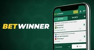 The Ultimate Guide to BetWinner Sportsbook Betting Simplified
